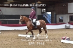 BPP_7443