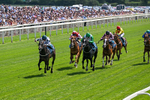 Race 2 14.05pm Tomahawk EBF Restricted Novice Stakes portfolio