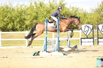 SBM_003166