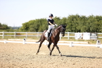 SBM_006781