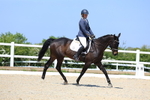 3E7A1999