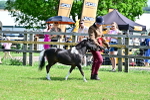 SBM_03637