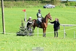 Section K Novice Rider 501 to 520 portfolio