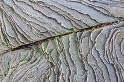 Vermiculations portfolio