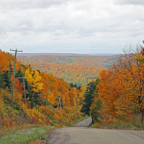 The Caledonia Mountain Road in rural Albert County, New Brunswick shows color for as far as the eye can see.