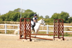 SBM_000896