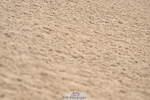 240501A-112609-00431