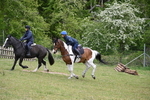 WJ6_1263