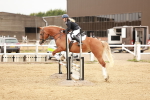 SBM_008015