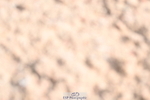 240623A-090550-16151