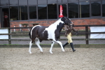 SBM_008028
