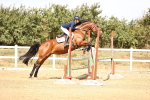 SBM_001020