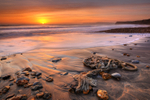 z1963 Washed Ashore, Brook Bay