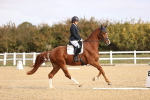 SBM_009609