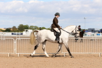 SBM_13461