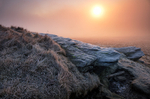 Frost on Sunday