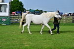 SBM_00037