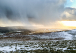 Hope Bowdler Hill