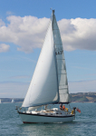140729 SCOT FREE GBR1443T WT7A1854