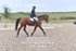 BPP_8895