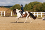 SBM_009683