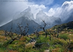 Renewal - Torres del Paine