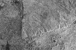 Vermiculations Insert BW Bamburgh