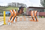 BPP_1184