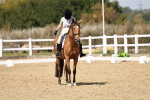 SBM_018654