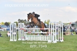BPP_7349