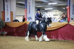 SBM_14882