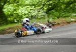 Hill Kart_2010-36
