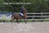 BPP_2001