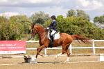 SBM_006234