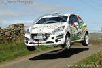 HAMILTONS FOLLY 12