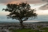 20120630-_MG_9128