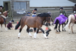 SBM_006396