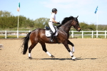 SBM_002315