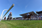 Race 5 16.15pm Cayenne Electric At Porsche Centre Hull Handicap portfolio
