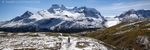 Wilcox Pass Panorama