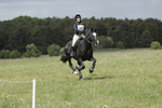 BVHT 140517  NXC -220