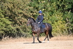 WJ6_6889