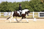 SBM_003689