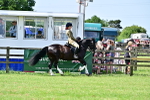 SBM_03826