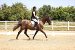 SBM_010606