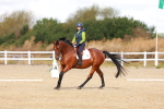 SBM_009726