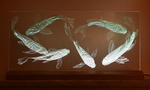 Koi (fine fins)