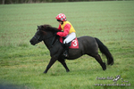 SHETPR 210425 134