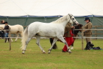 SBM_04298