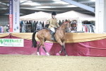 SBM_08191